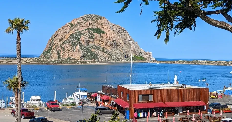 Savoring Morro Bay: A Culinary Escape Through Fresh Seafood, Coastal Comfort & Local Treasures